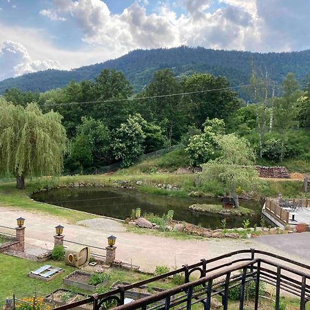 Aux Gites De L'Etang - Thannenkirch Bergheim Ngoại thất bức ảnh