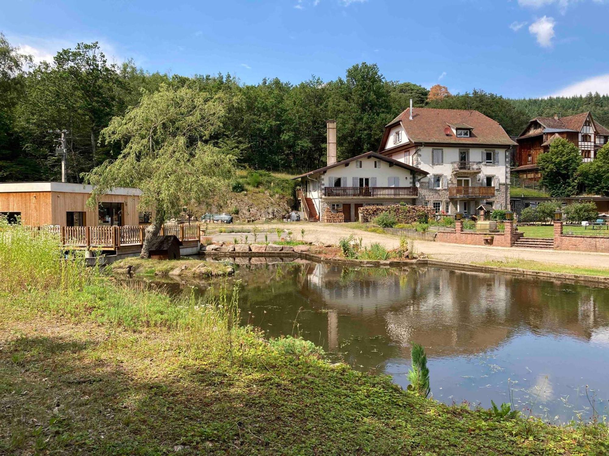 Aux Gites De L'Etang - Thannenkirch Bergheim Ngoại thất bức ảnh