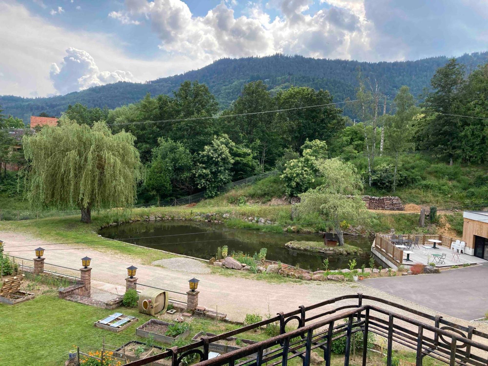 Aux Gites De L'Etang - Thannenkirch Bergheim Ngoại thất bức ảnh